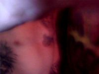 Live webcam sex snapshot van bobbian