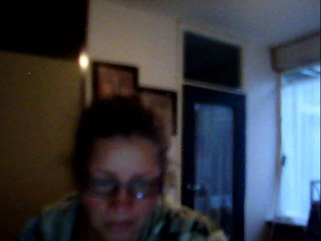 Webcam foto van bralisa