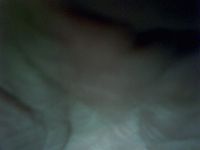 Lekker webcam sexchatten met konijntje2  uit West Vlaanderen