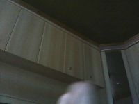 Live webcam sex snapshot van queenashley76